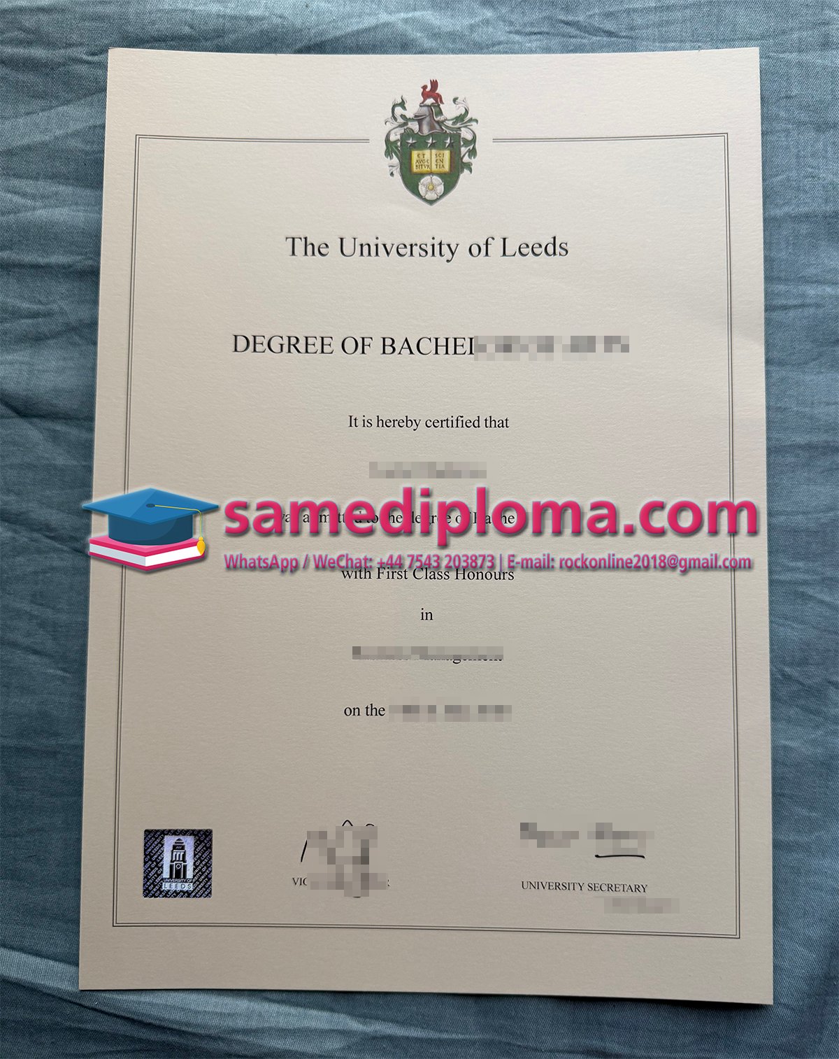 University of Leeds Degree