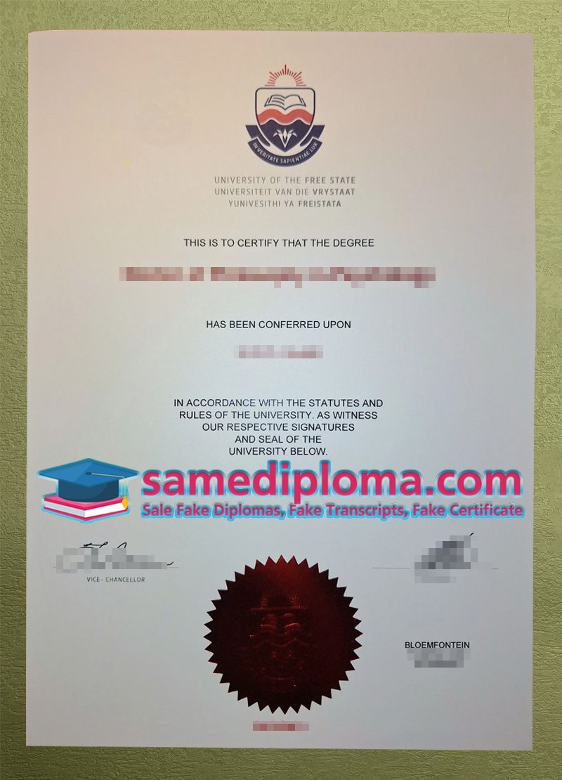 South African university diploma