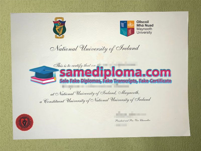 Maynooth University Diploma