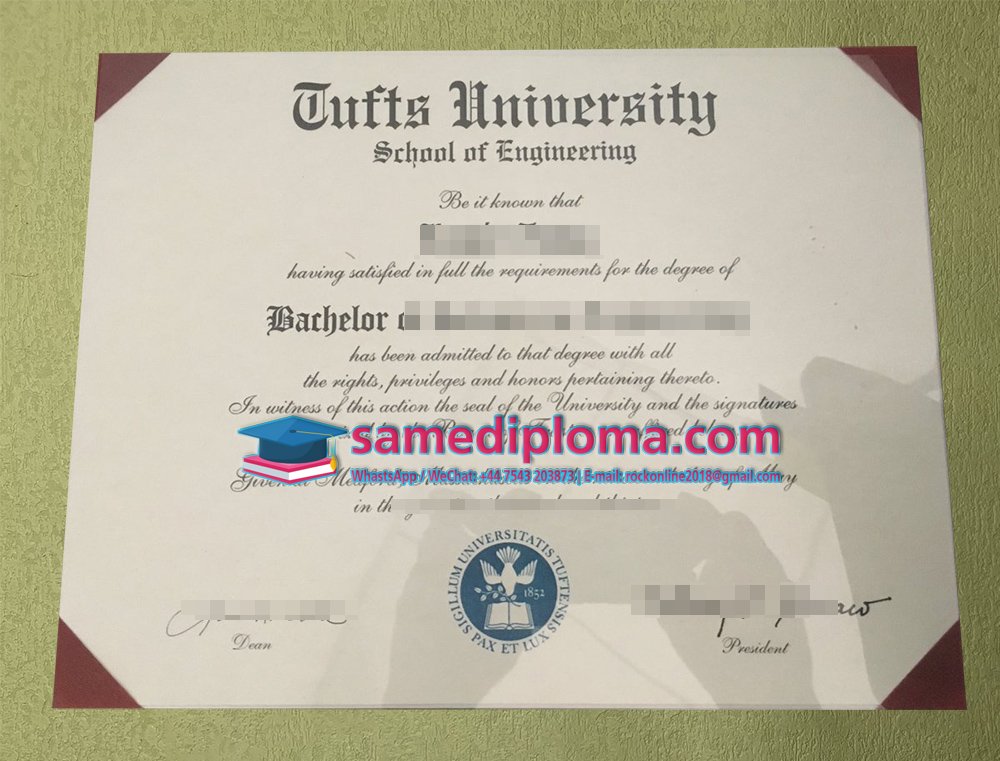 Tufts University Diploma