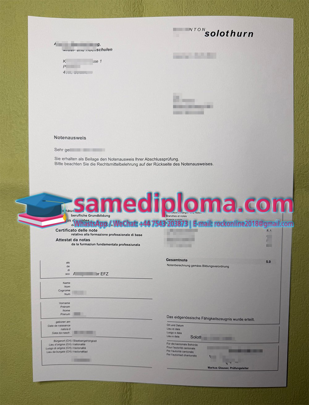 EFZ Certificate and Notenausweis in Solothurn