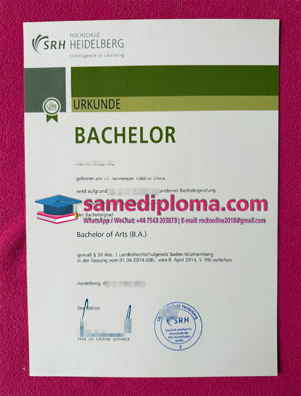 SRH Hochschule Heidelberg Urkunde