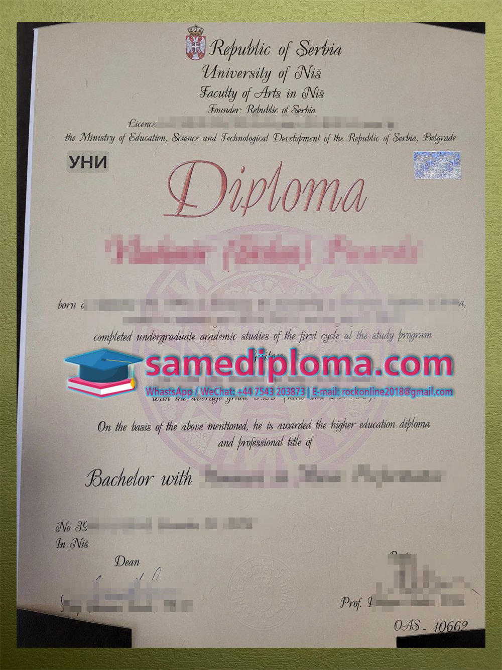 University of Niš Diploma