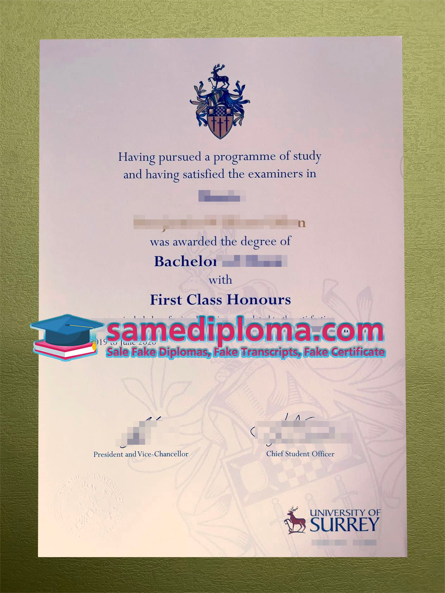 University of Surrey Degree