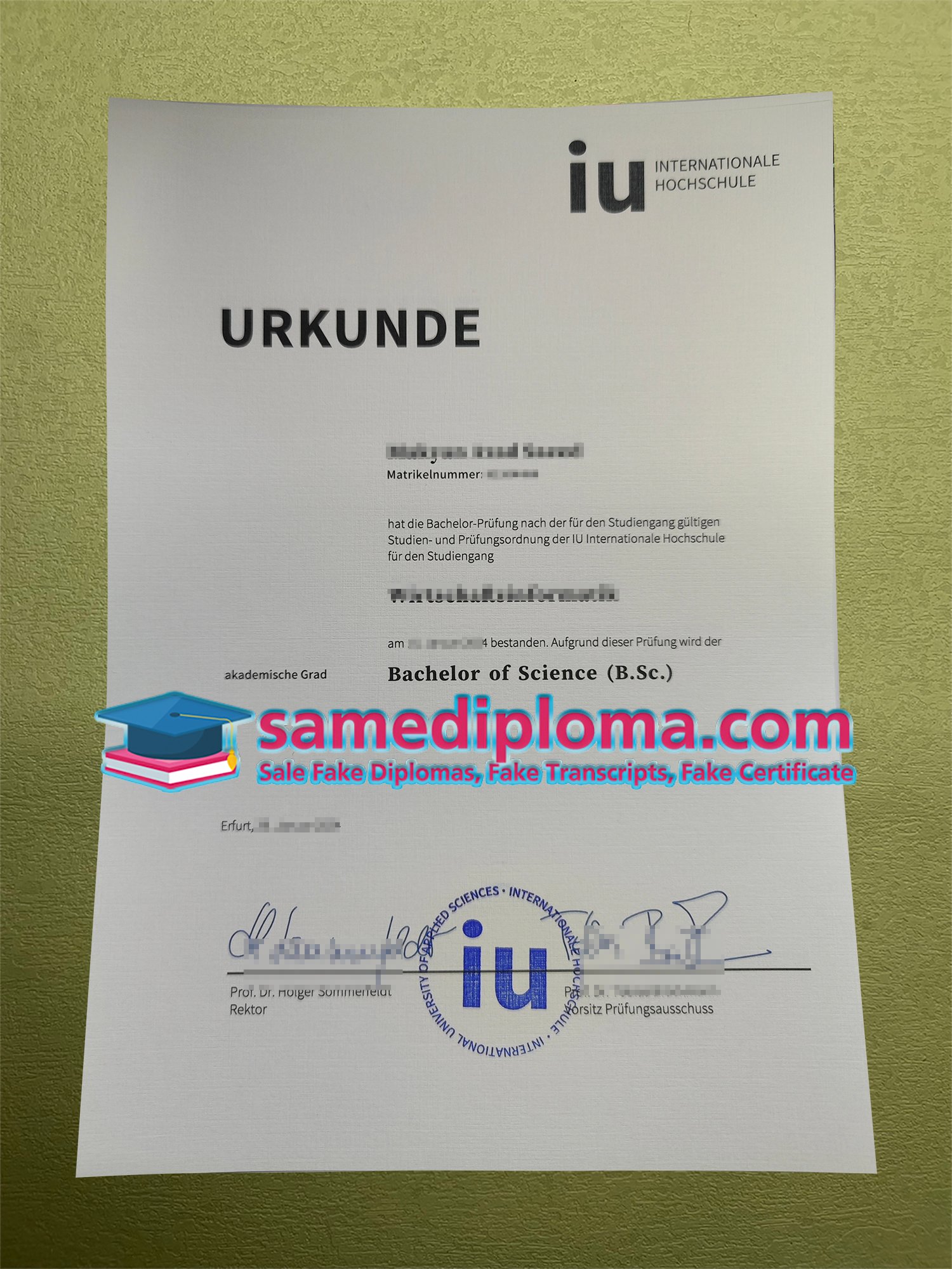 iu internationale hochschule urkunde